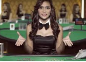 掌中彩welcome最新版